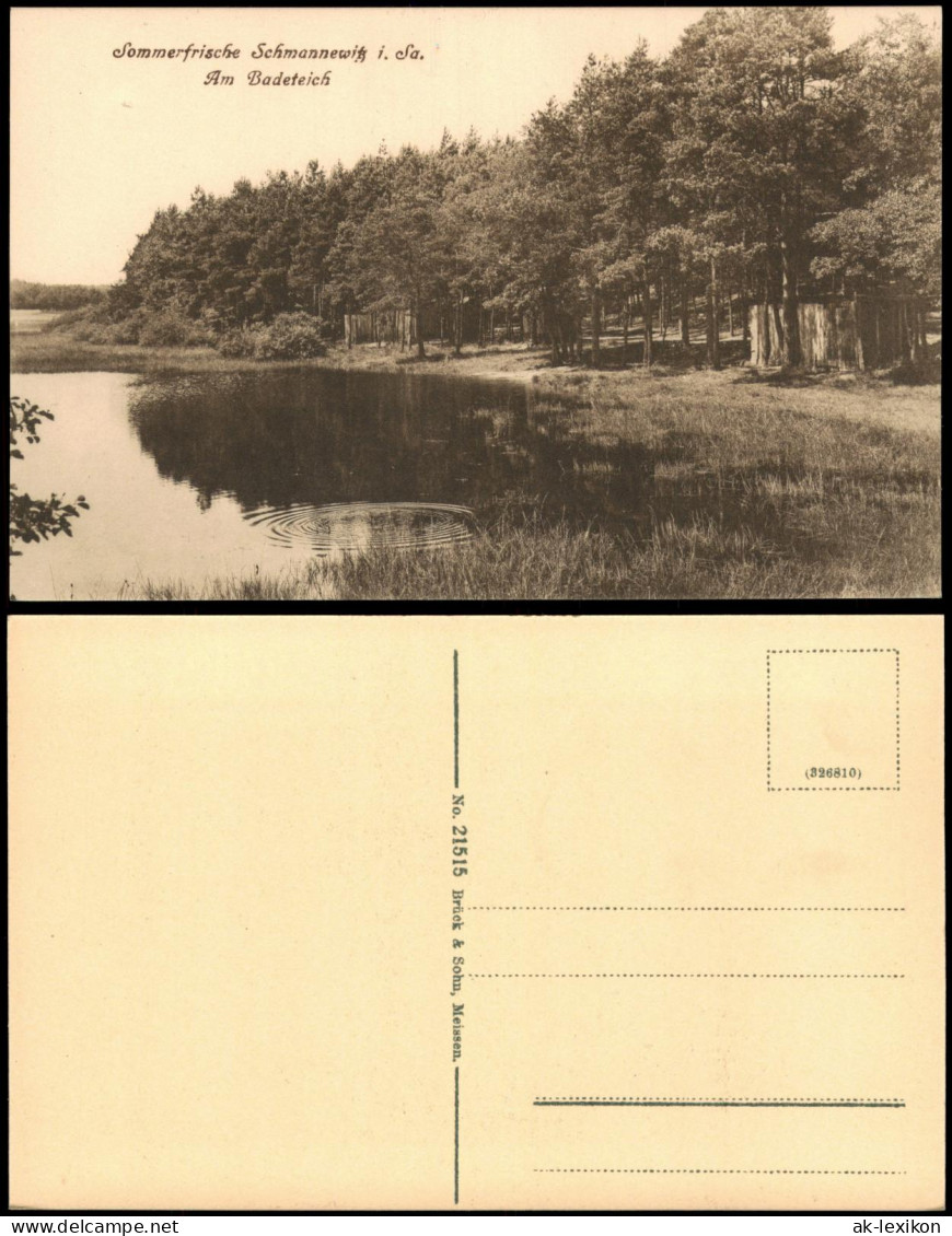 Ansichtskarte Schmannewitz-Dahlen Am Badeteich 1920