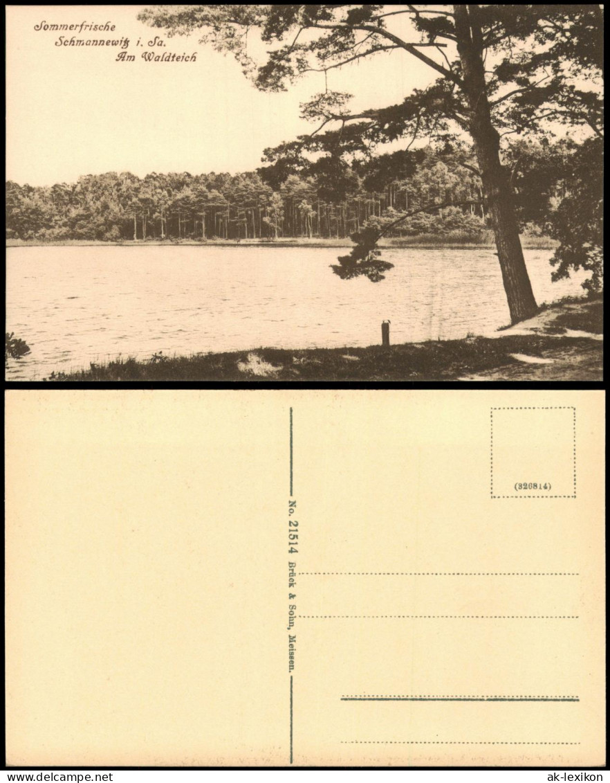 Ansichtskarte Schmannewitz-Dahlen Am Waldteich Sommerfrische 1920