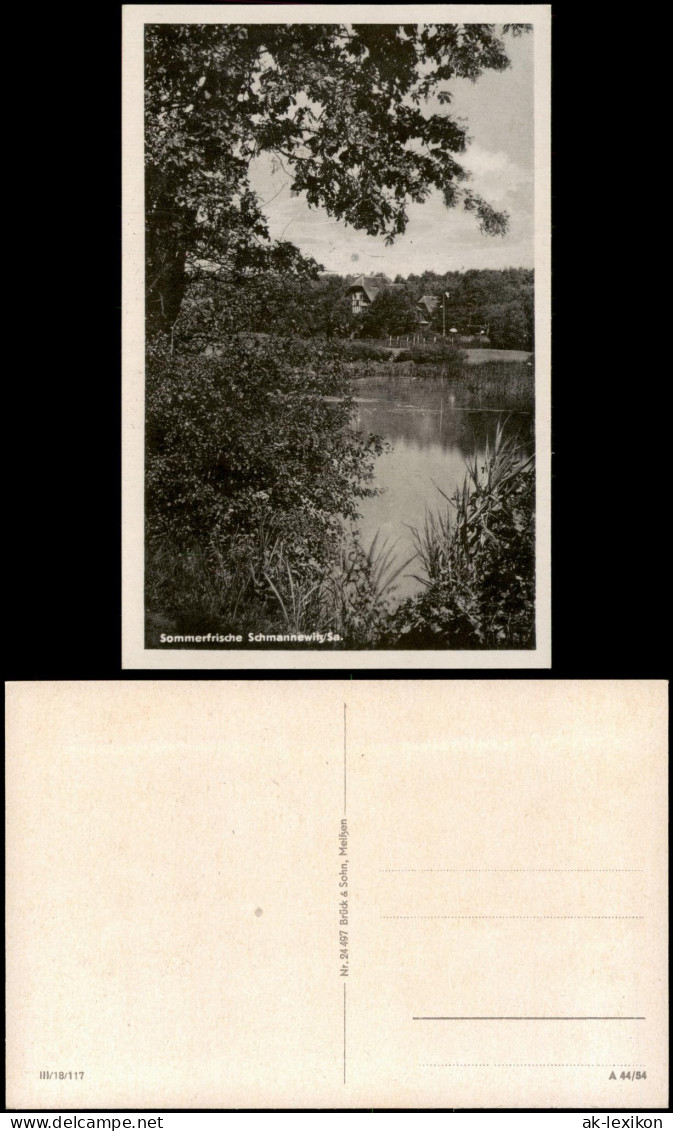 Ansichtskarte Schmannewitz-Dahlen Blick auf den Ort 1954