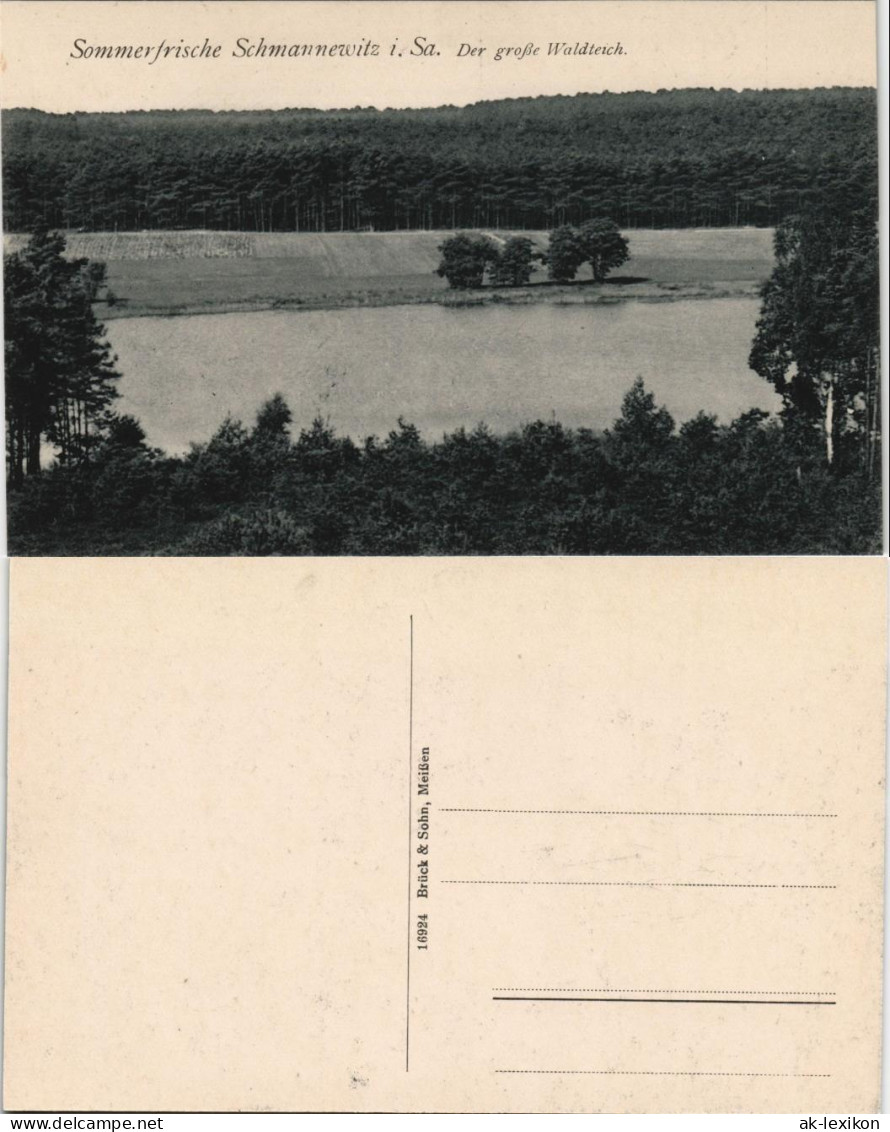 Ansichtskarte Schmannewitz-Dahlen Der große Waldteich 1916