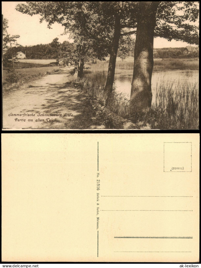 Ansichtskarte Schmannewitz-Dahlen Partie am alten Teich 1917