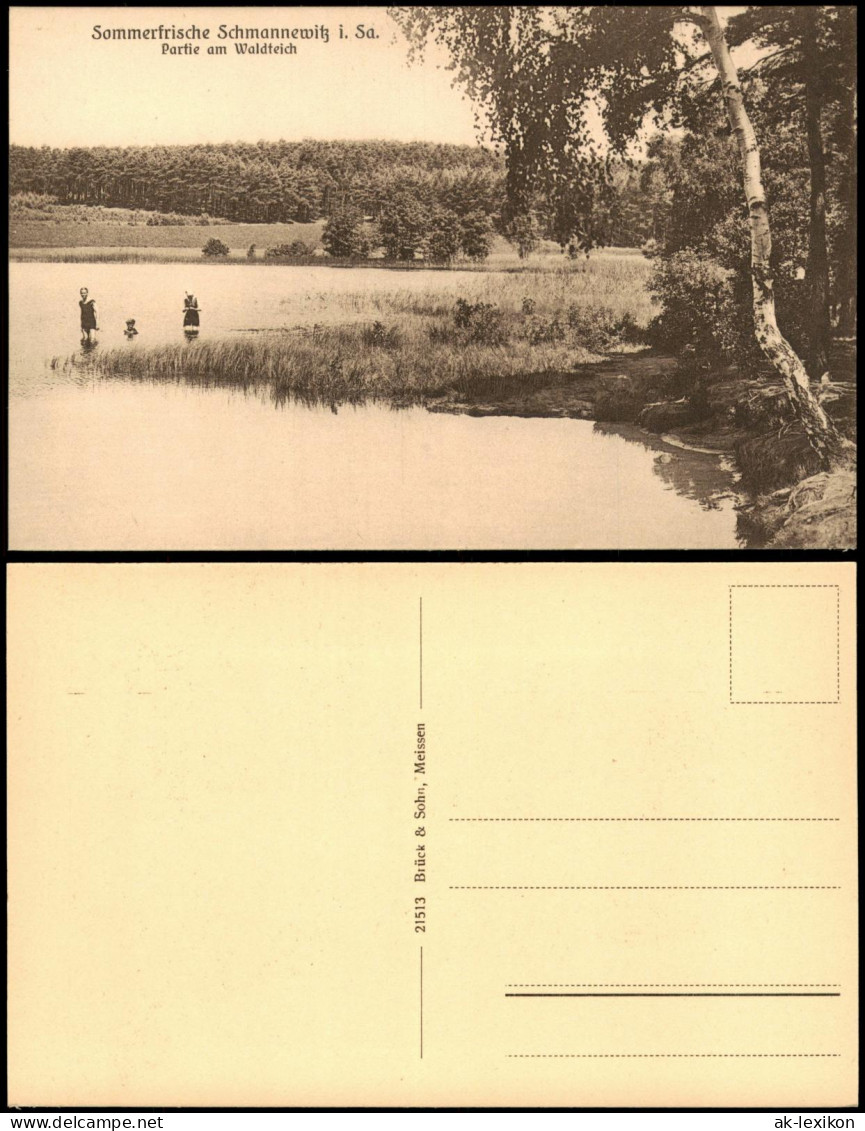Ansichtskarte Schmannewitz-Dahlen Partie am Waldbad 1920