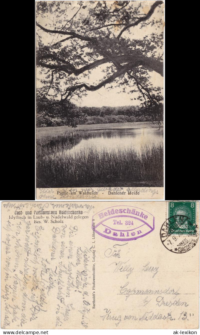 Ansichtskarte Schmannewitz-Dahlen Partie am Waldteich 1928