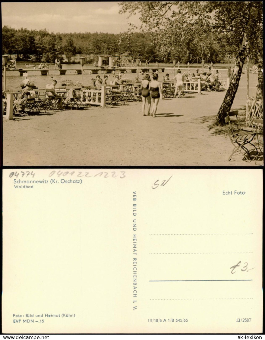 Ansichtskarte Schmannewitz-Dahlen Waldbad 1965