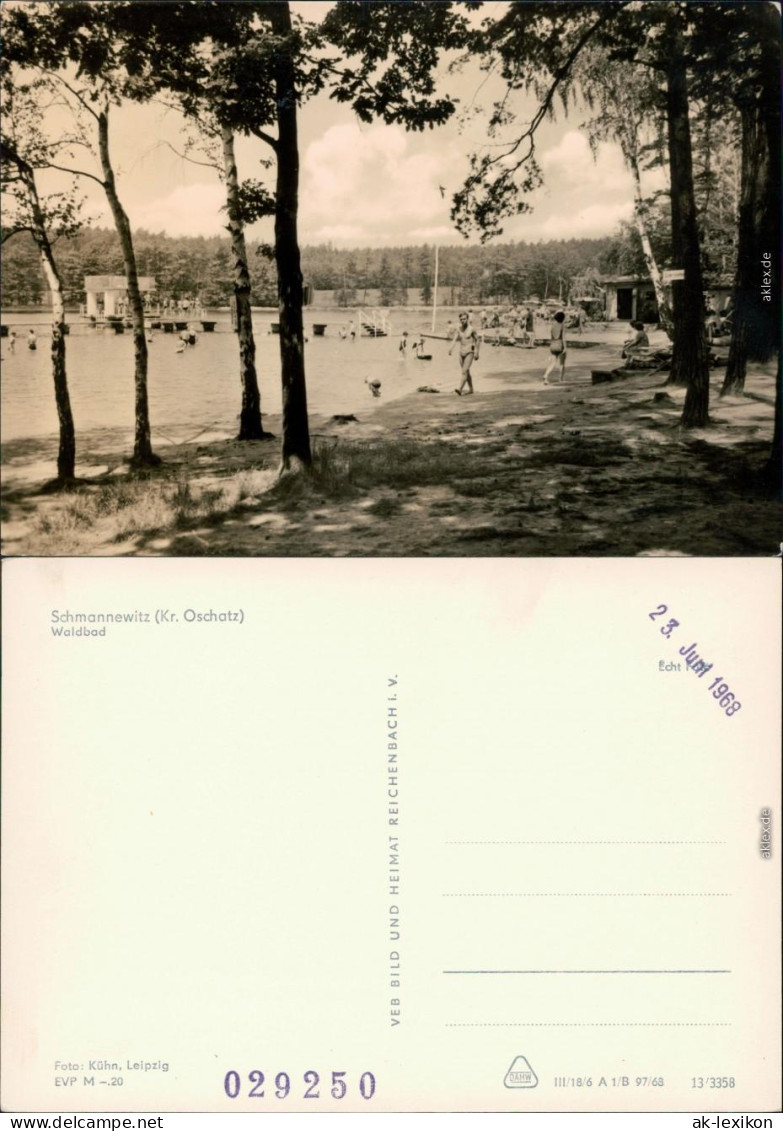 Ansichtskarte Schmannewitz-Dahlen Waldbad 1968