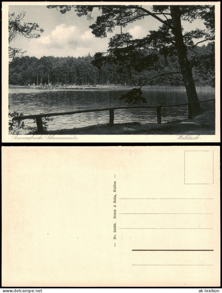 Ansichtskarte Schmannewitz-Dahlen Waldteich Badestrand 1928