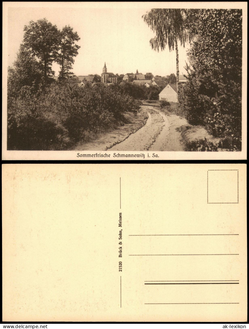 Ansichtskarte Schmannewitz-Dahlen Weg zur Stadt 1920