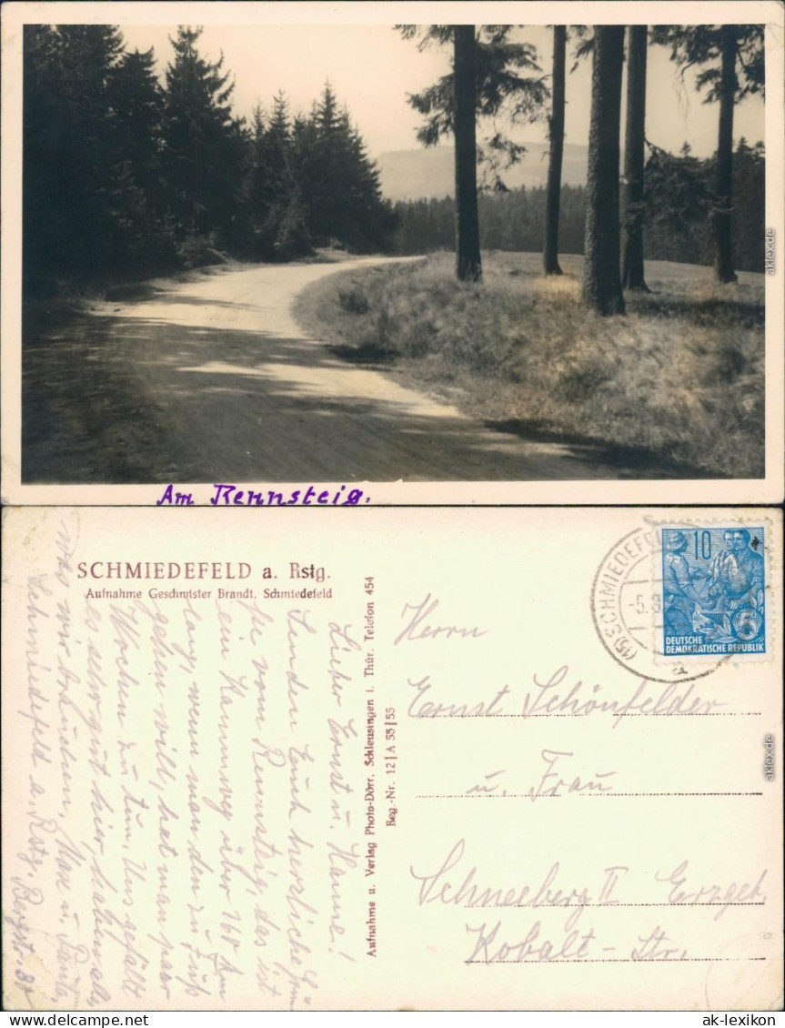 Ansichtskarte Schmiedefeld (Rennsteig) Am Rennsteig 1955