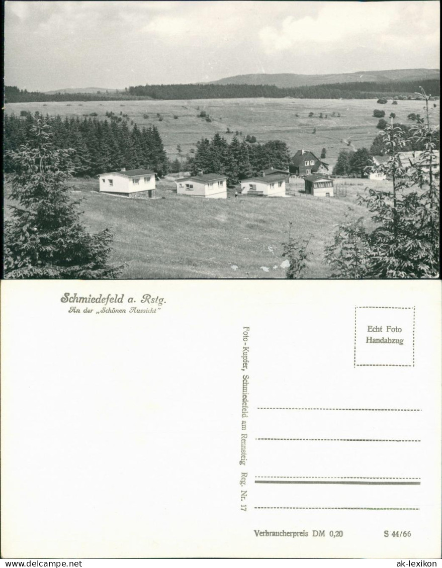 Ansichtskarte Schmiedefeld (Rennsteig) Panorama-Ansicht über Wiesen 1966