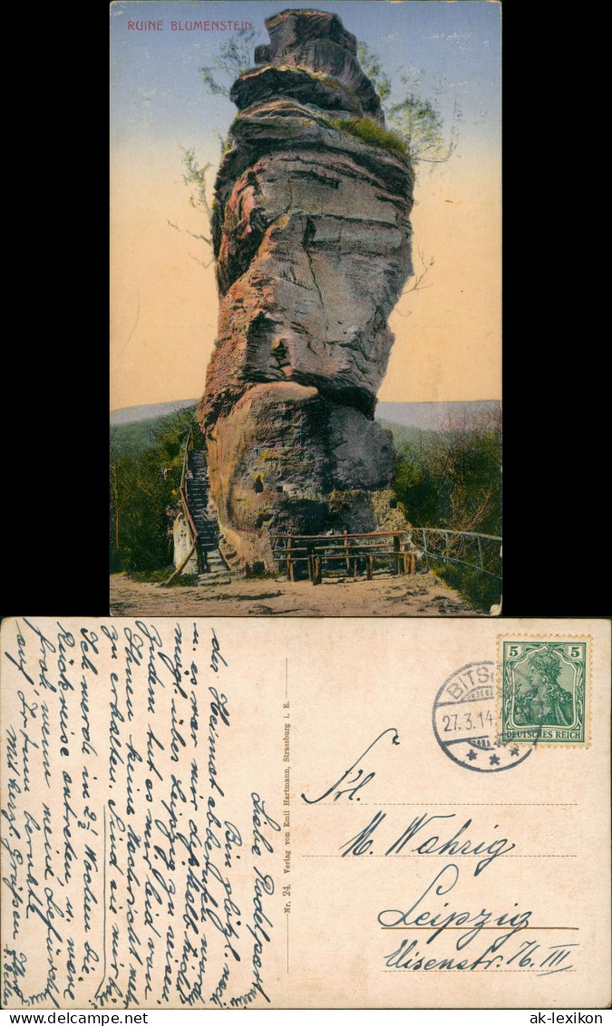 Ansichtskarte Schönau (Pfalz) RUINE BLUMENSTEIN 1914