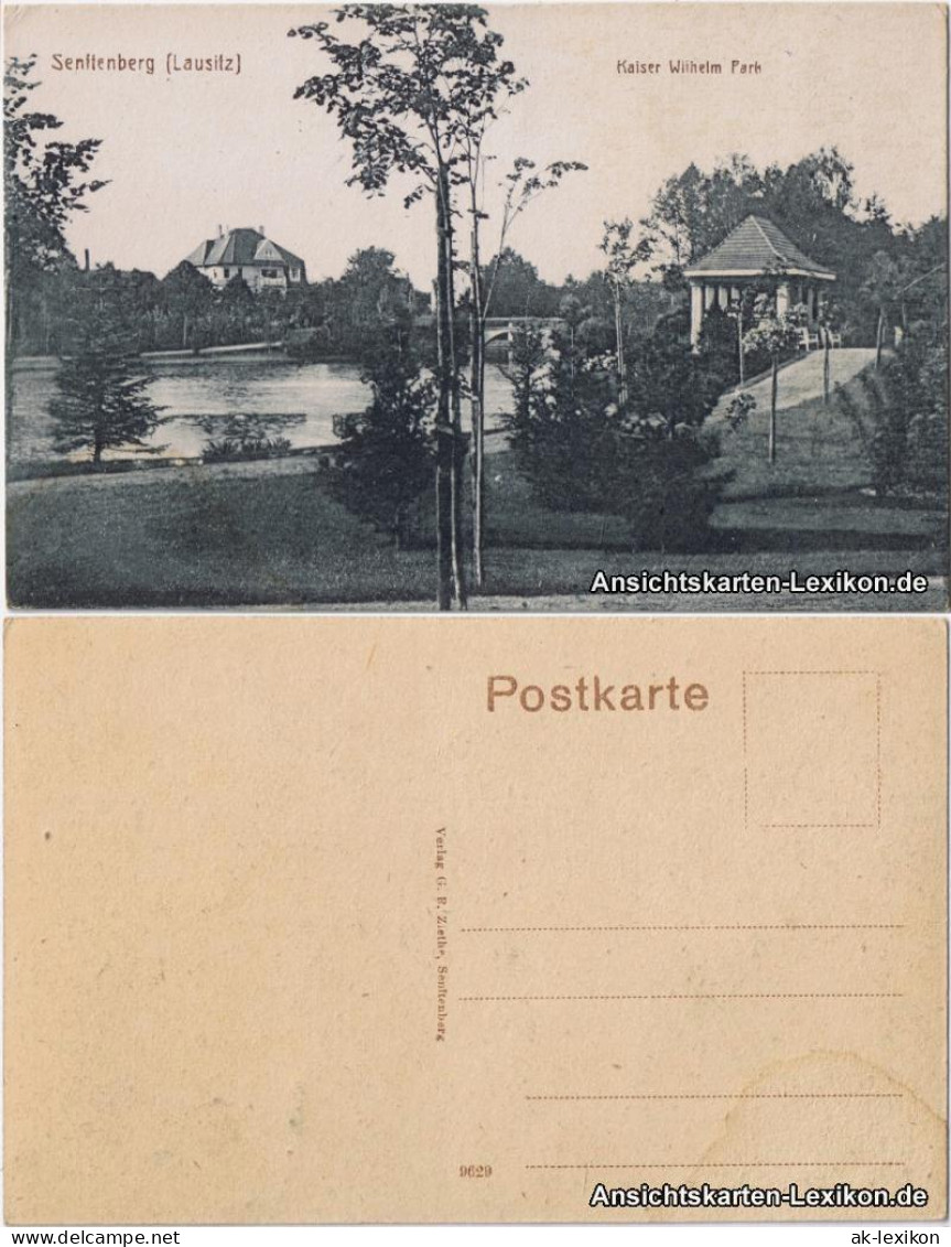 Ansichtskarte Senftenberg (Niederlausitz) Partie im Kaiser Wilhelm Park 1920