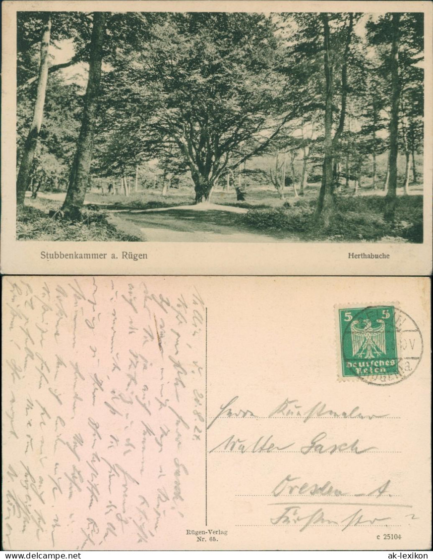 Ansichtskarte Stubbenkammer-Sassnitz Saßnitz Waldweg - Herthabuche 1924