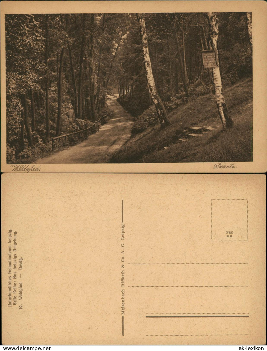 Ansichtskarte Taucha Waldpfad Dewitz 1928