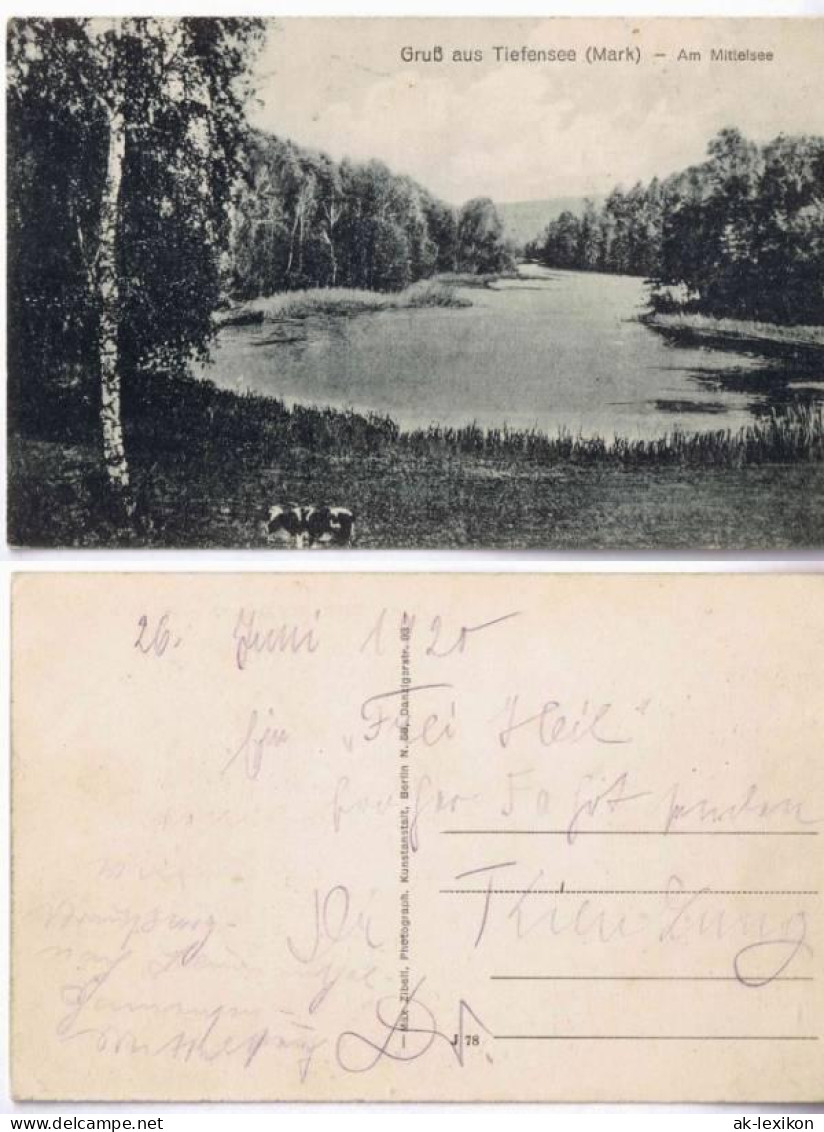 Ansichtskarte Tiefensee-Werneuchen Gruss aus.. - Am Mittelsee (Barnim) 1920