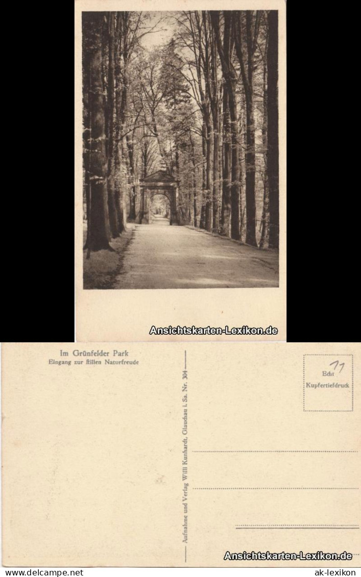Ansichtskarte Waldenburg (Sachsen) Im Grünfelder Park 1922