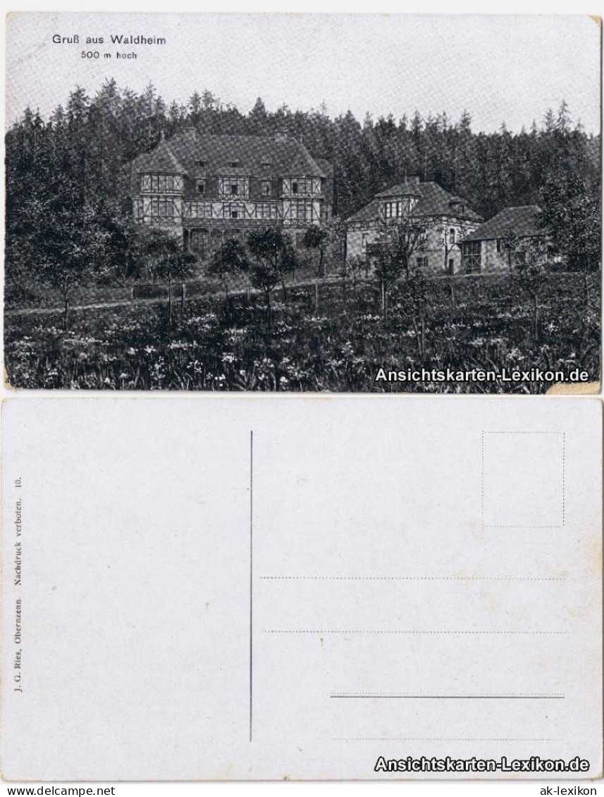 Ansichtskarte Waldheim (Sachsen) Häuser am Hang 1922