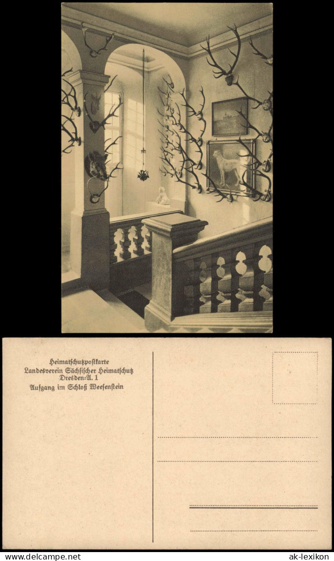 Ansichtskarte Weesenstein (Müglitz) Schloss Weesenstein Aufgang 1925