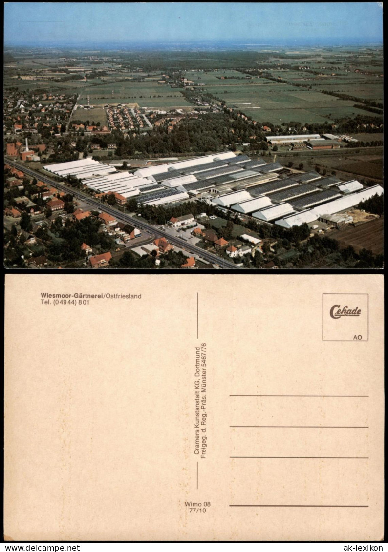 Ansichtskarte Wiesmoor Luftaufnahme Wiesmoor-Gärtnerei Ostfriesland 1977