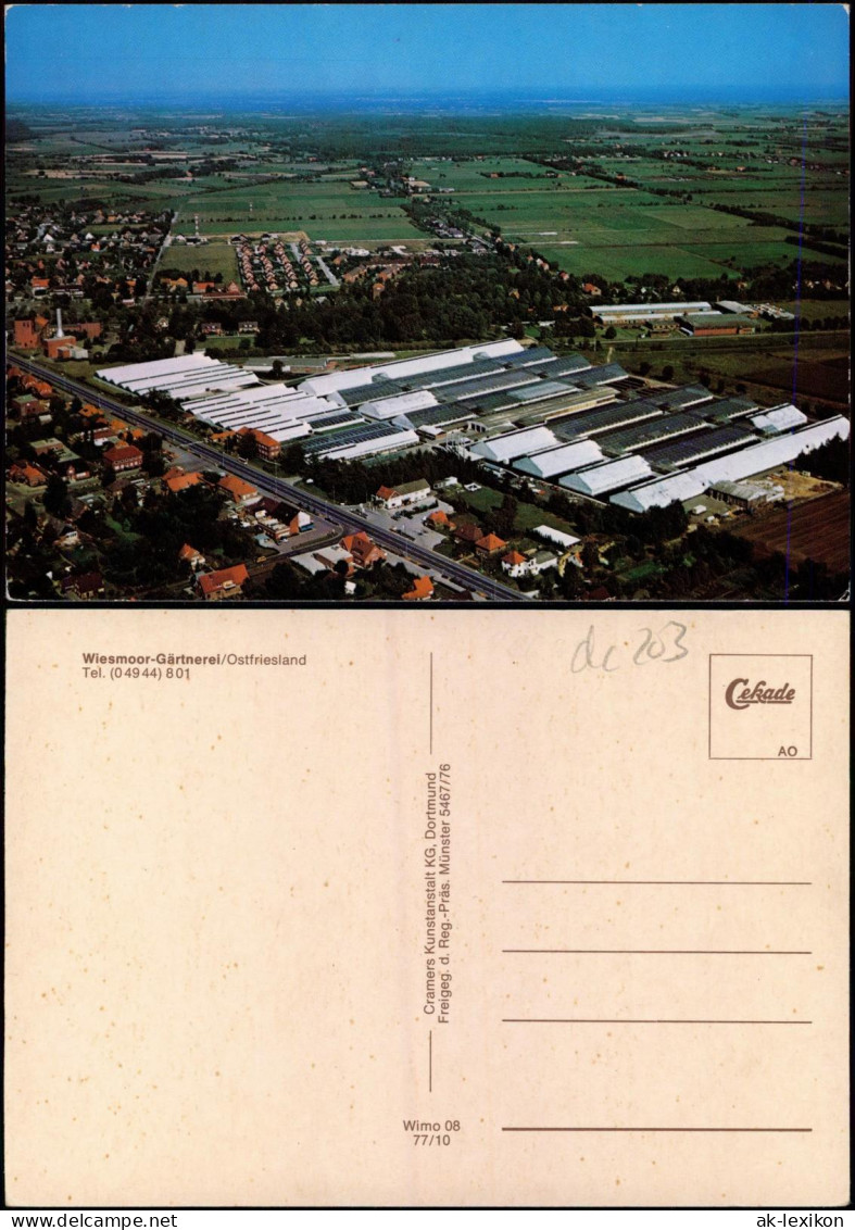 Ansichtskarte Wiesmoor Luftaufnahme Wiesmoor-Gärtnerei Ostfriesland 1977