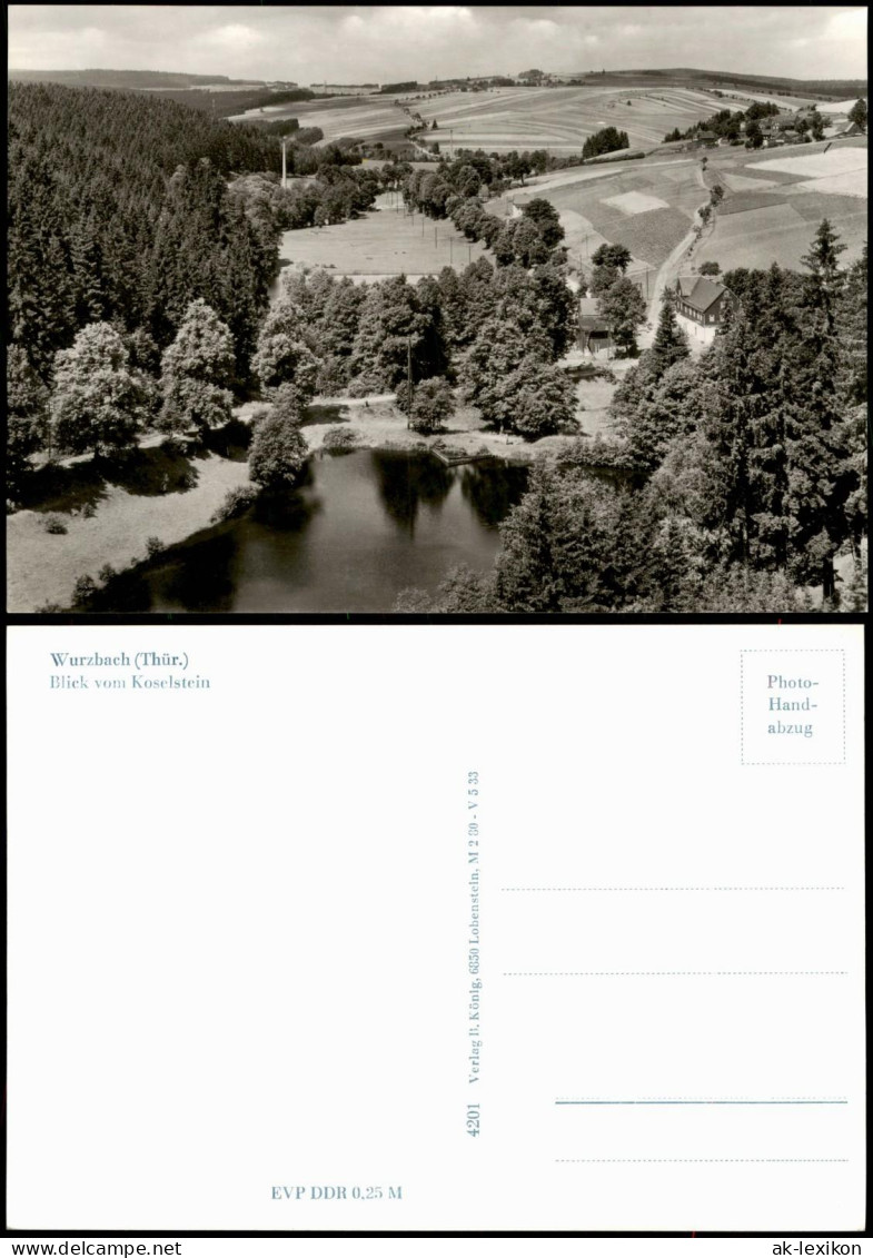 Ansichtskarte Wurzbach Blick vom Koselstein 1968