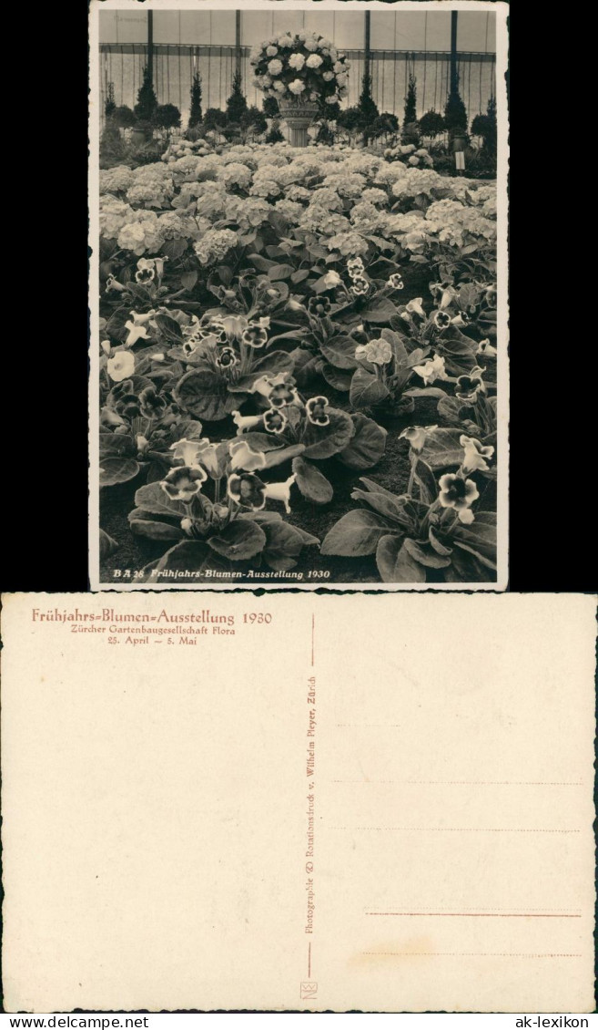Ansichtskarte Zürich Ausstellung Frühjahrsblumen 1930