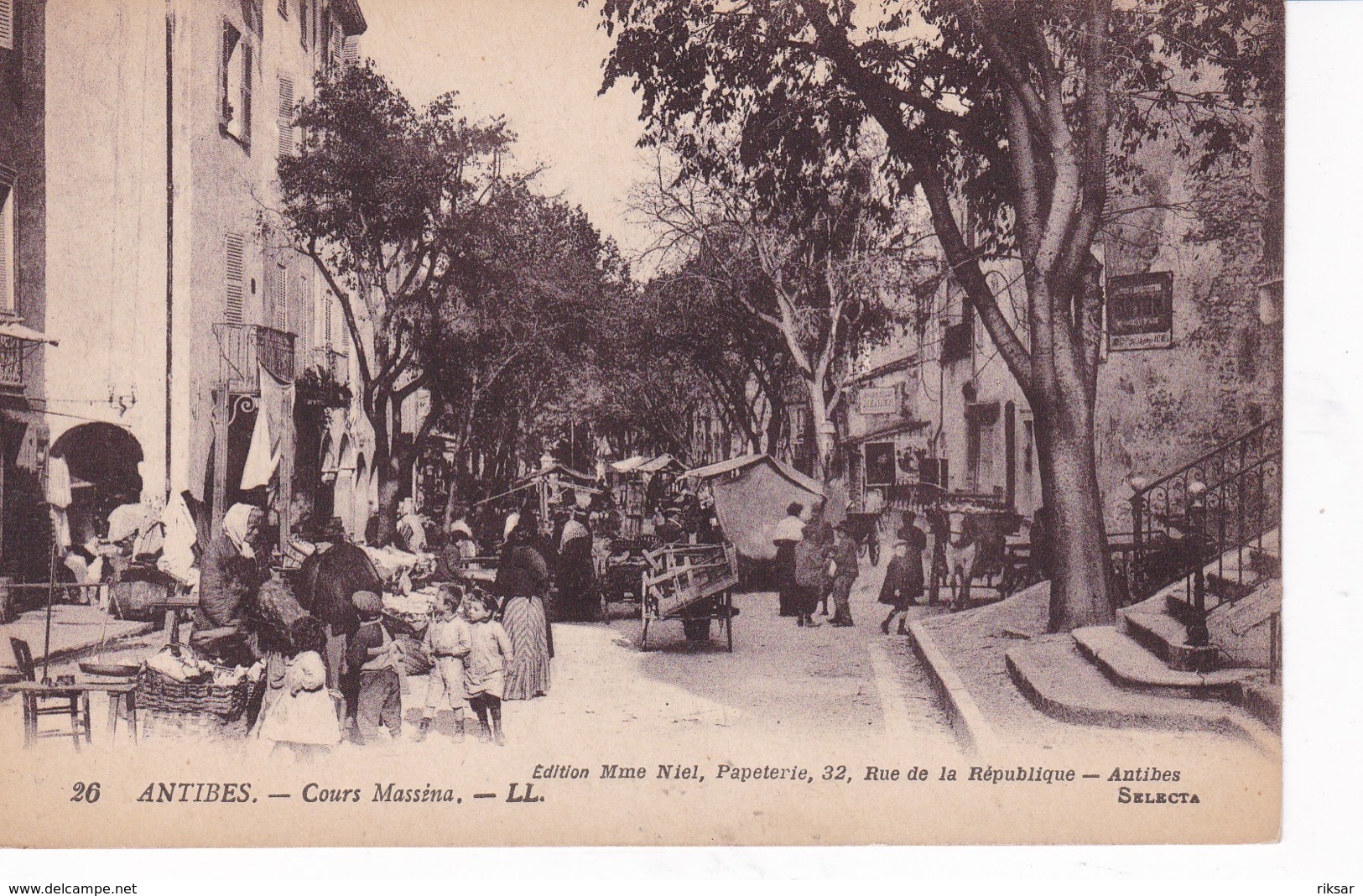 ANTIBES(ARBRE) MARCHE