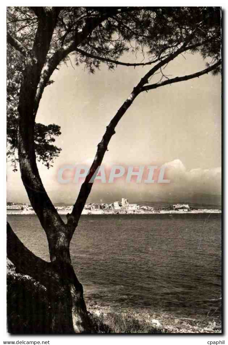 Antibes CPA Vue sur la vieille ville et le fort carre