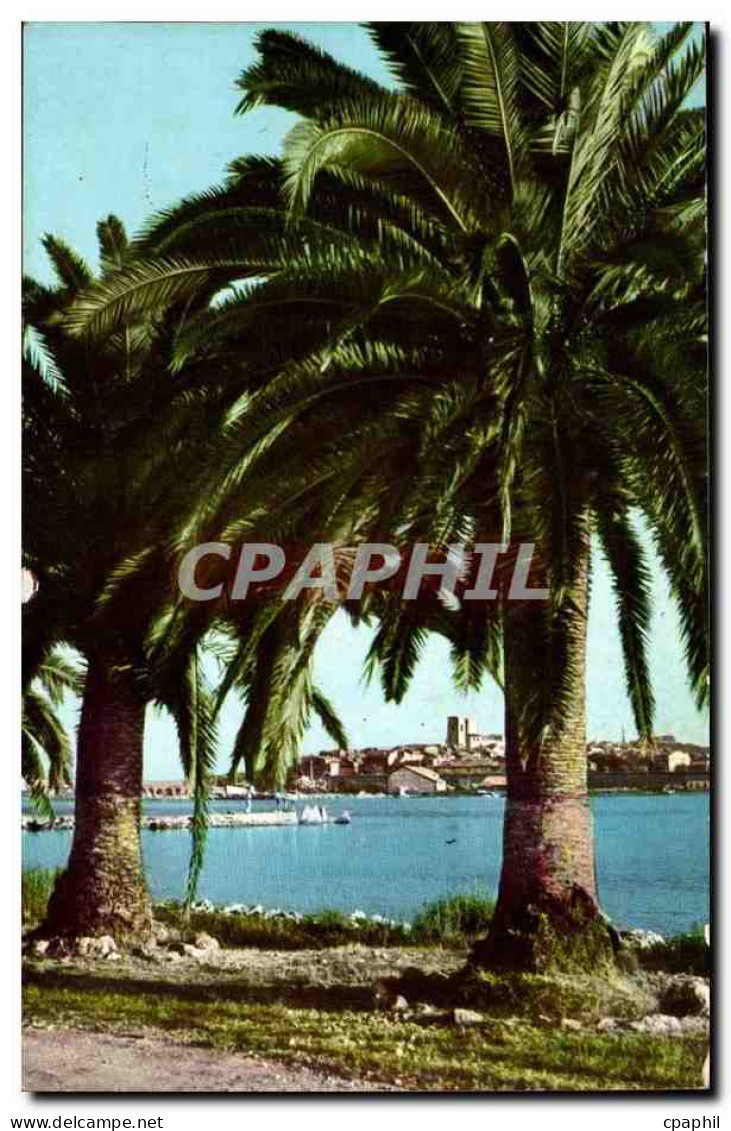 Antibes CPM Vue sur la vieille ville
