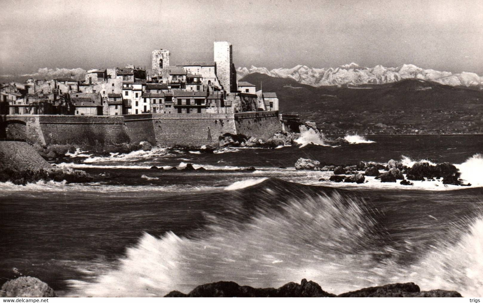 Antibes - la Vieille Ville et ses Remparts, les Alpes neigeuses