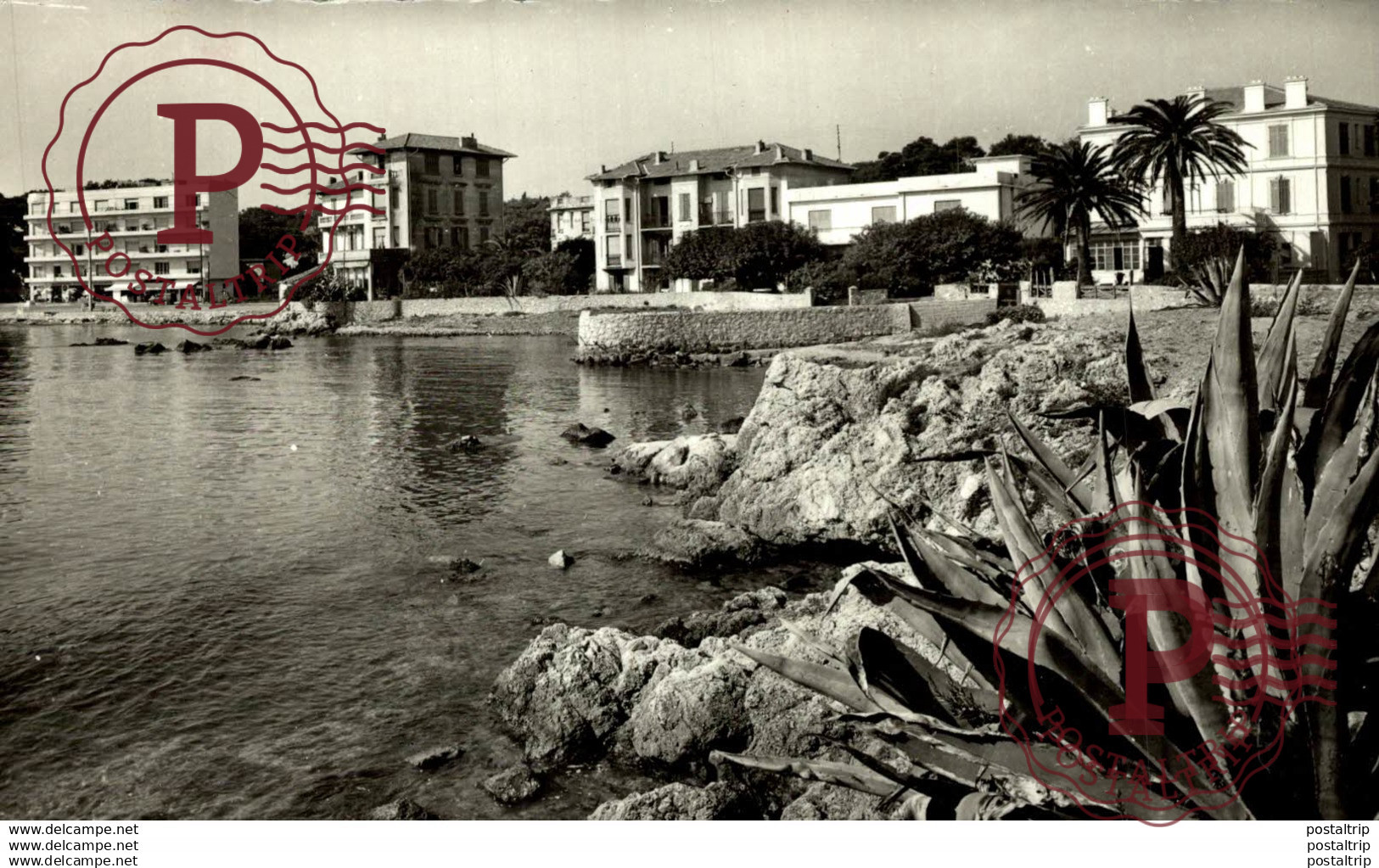 ANTIBES LE QUARTIER DU PONTET  Francia  France Frankreich