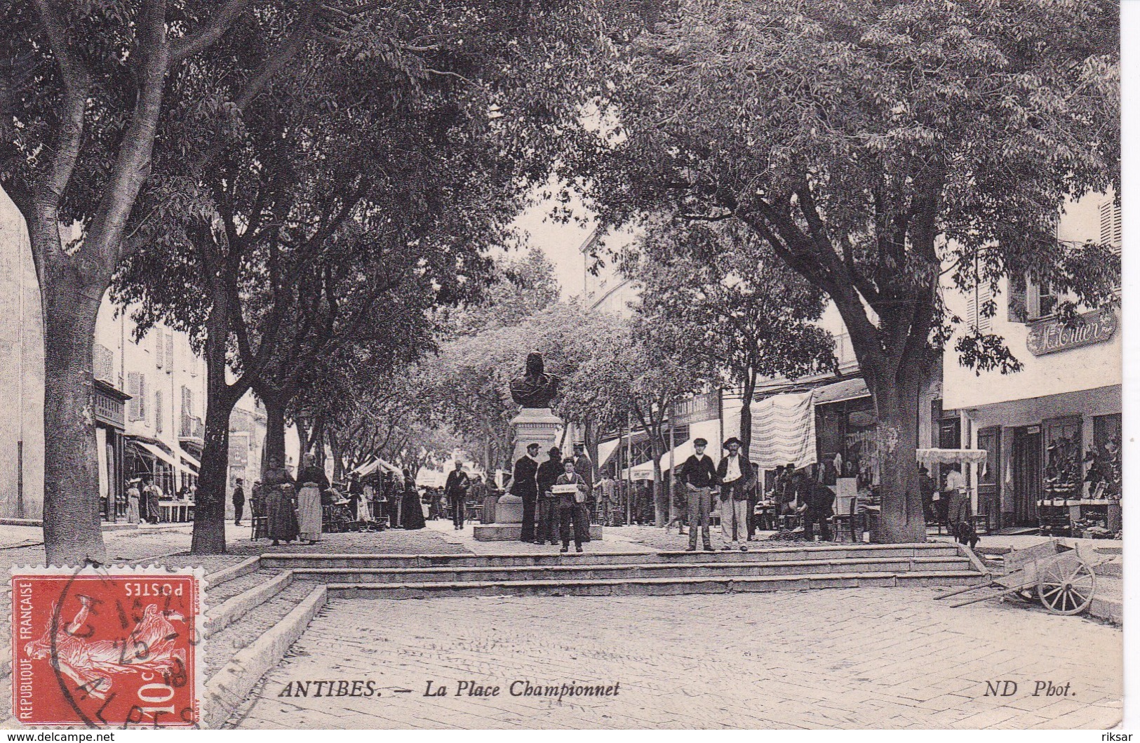 ANTIBES(MARCHE) ARBRE