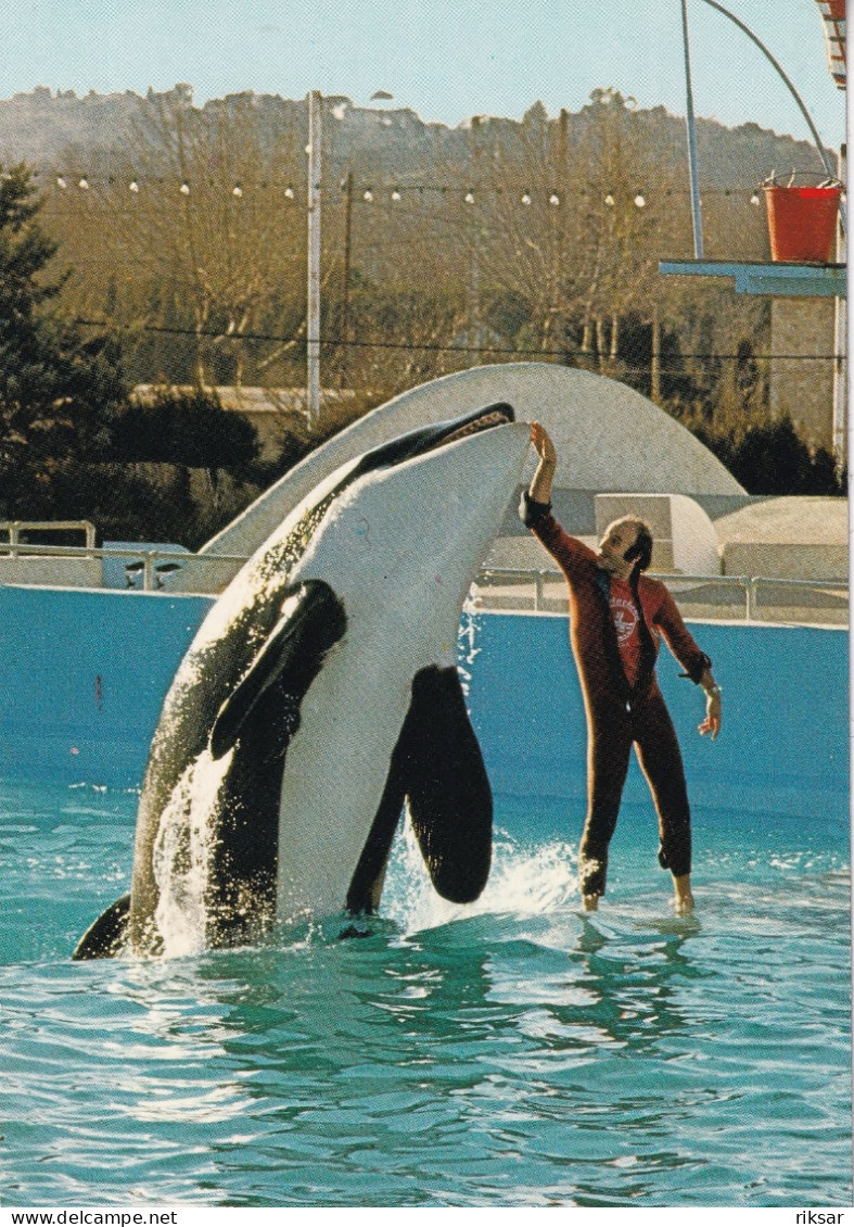 ANTIBES(MARINELAND) DAUPHIN