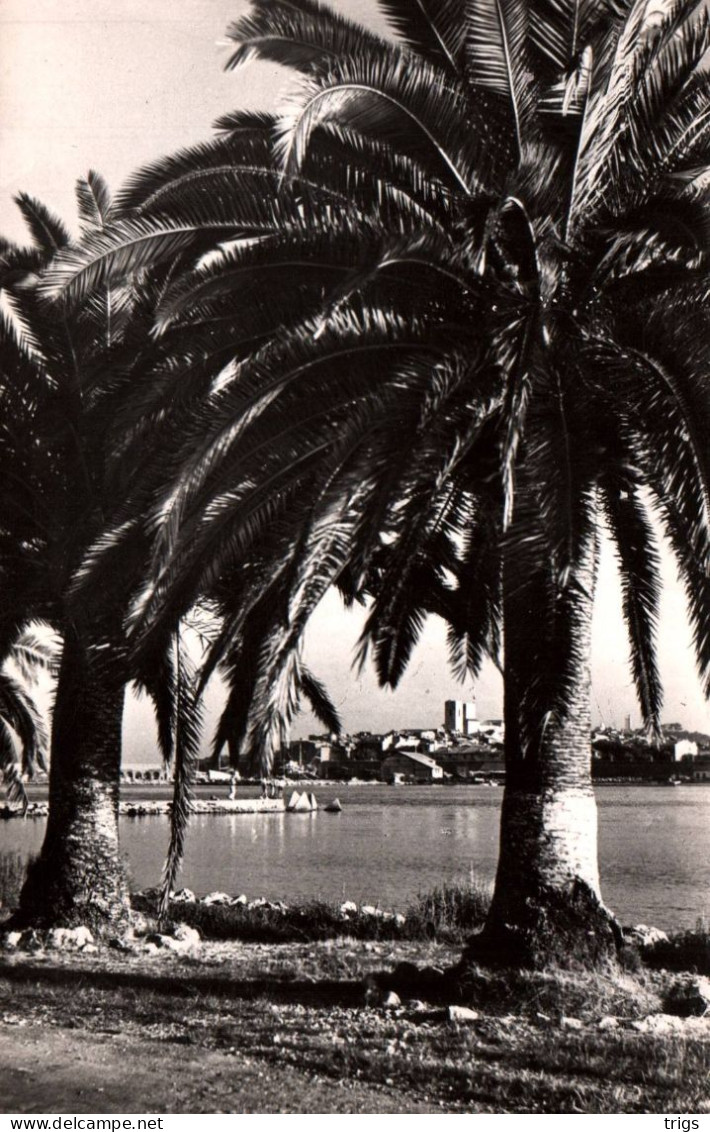 Antibes - Vue sur la Vieille Ville