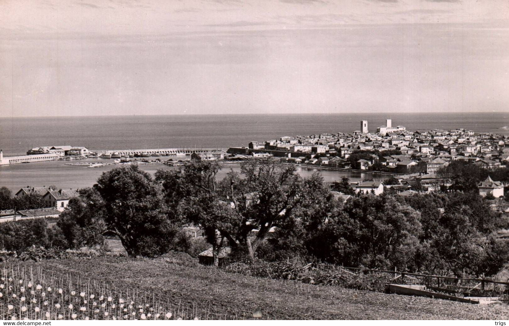 Antibes - Vue sur la Ville et le Port