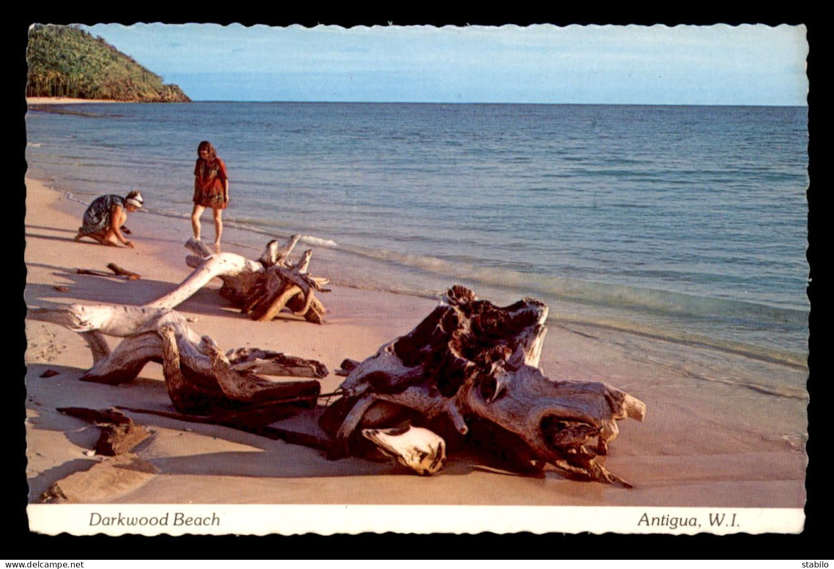 ANTIGUA & BARBUDA - DARKWOOD BEACH