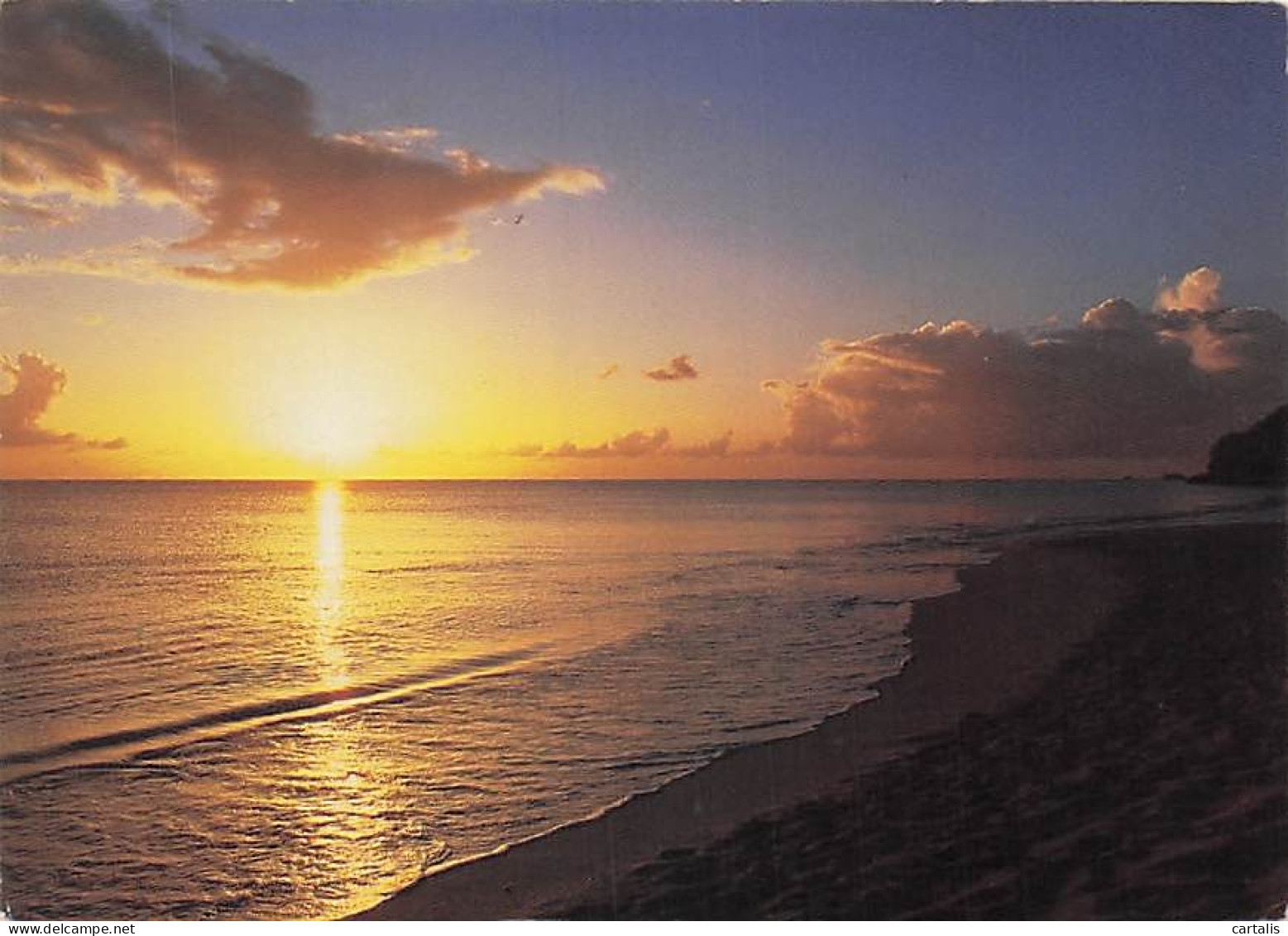 ANTIGUA ET BARBUDA-ANTIGUA-DARK WOOD BEACH-N°7073-A/0159