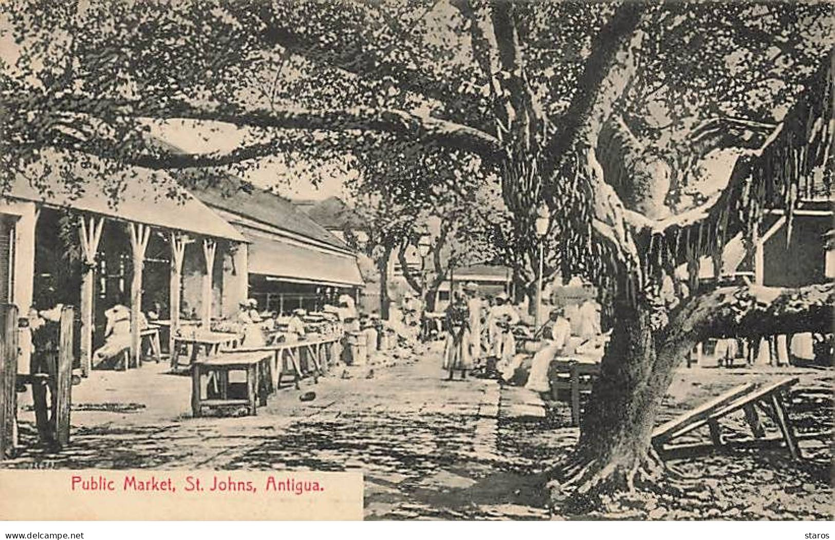 ANTIGUA - St Johns - Public Market