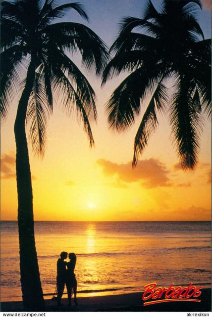 Barbados allgemein Romantic Sunset Palmen Sonnen-Untergang Barbados Karibik 1990