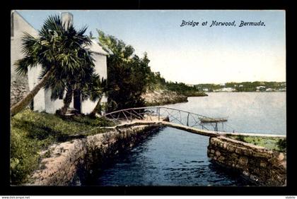 BERMUDES - BRIDGE AT NORWOOD