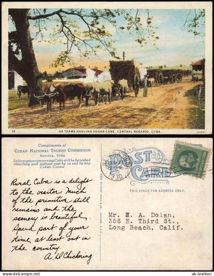 Kuba allgemein OX TEAMS HAULING SUGAR CANE, CENTRAL ROSARIO, CUBA. 1930