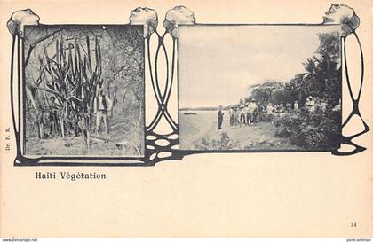 Haiti - Végétation - Publ. Dr. F. R. 34