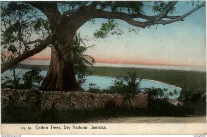 Jamaica - Cotton Trees Dry Habour