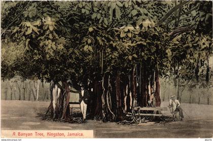 PC JAMAICA A BANYAN TREE, KINGSTON, JAMAICA. (a79423)