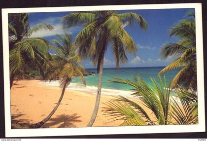 AK 000341 DOMINICAN REPUBLIC - Playa Grande