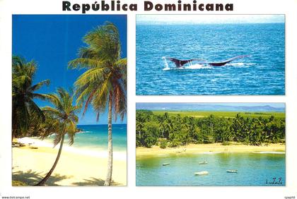 CPM Costa Norte Republica Dominicana Baleine