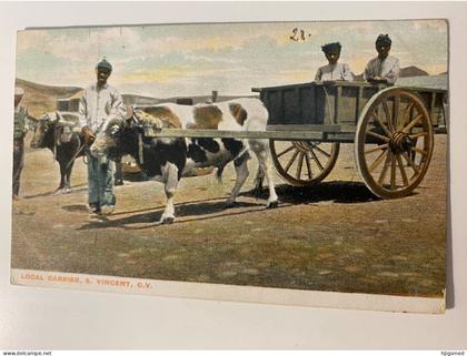 Saint Vincent and the Grenadines S Vincent CV local carrier cow carriage Cabo Verde stamp 18614 post card POSTCARD