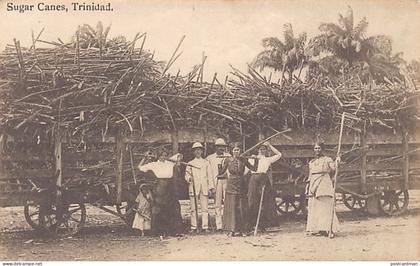 Trinidad - Sugar canes - Publ. Davidson & Todd