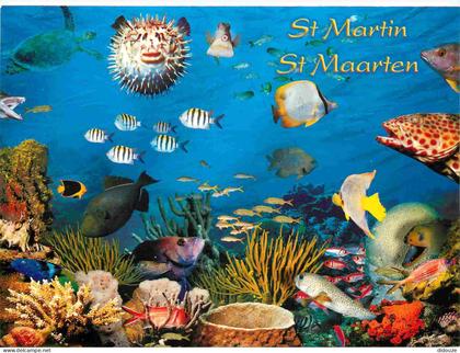 Carte Postale - Saint-Martin - Saint-martin - Poissons tropicaux - Art illustration - CPM - Voir Scans Recto-Verso