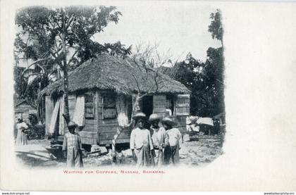 Bahamas Nassau Waiting for Coppers