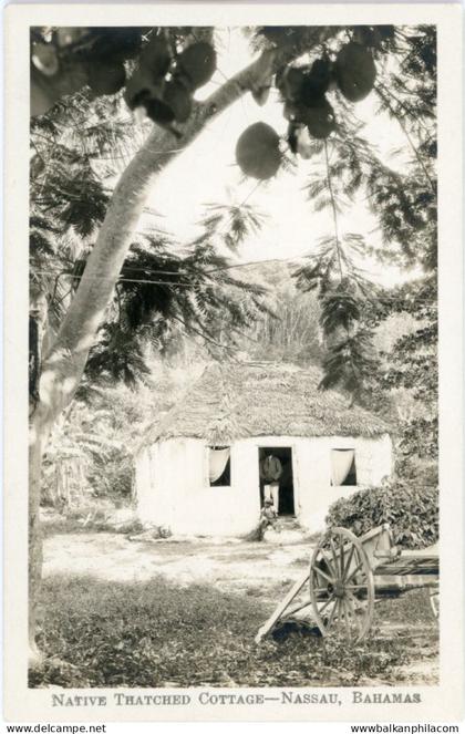 Bahamas Native Thatched Cottage photocard